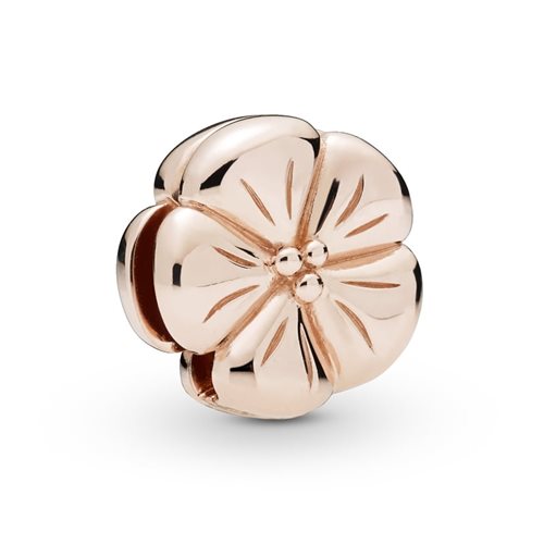 Charm Pandora Donna Reflexions in Lega metallica 787897 - 787897